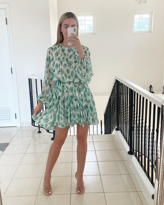 Long Sleeve Belted Dress in Green & White